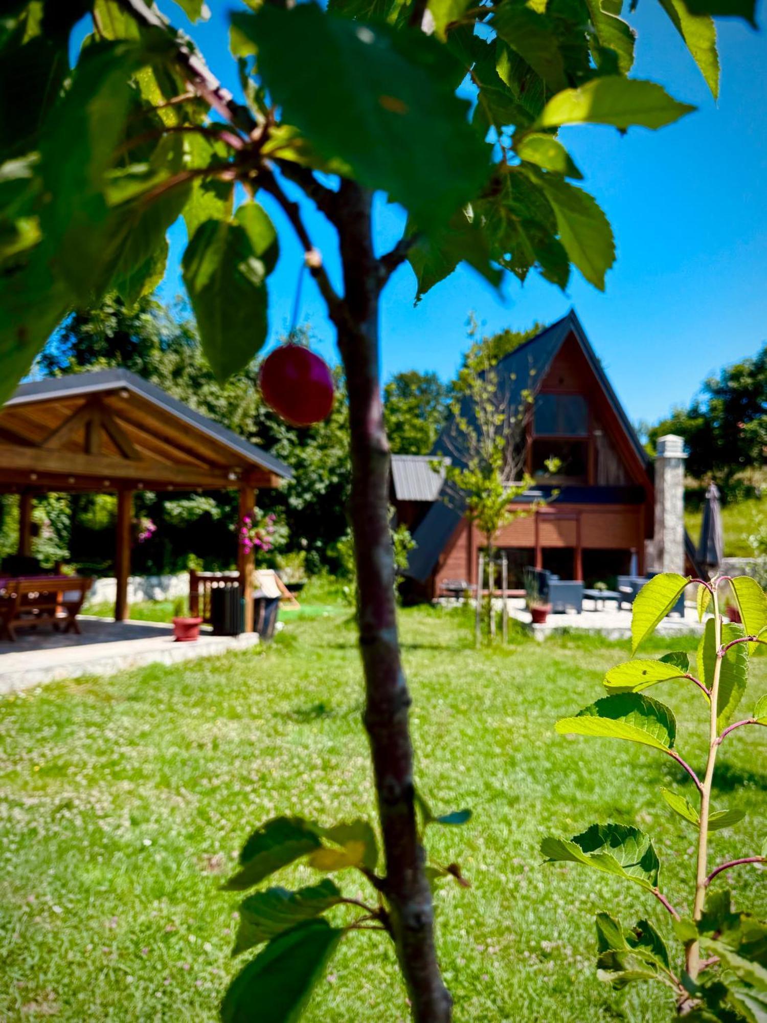 Villa Albero Casa Cetinje Exterior foto